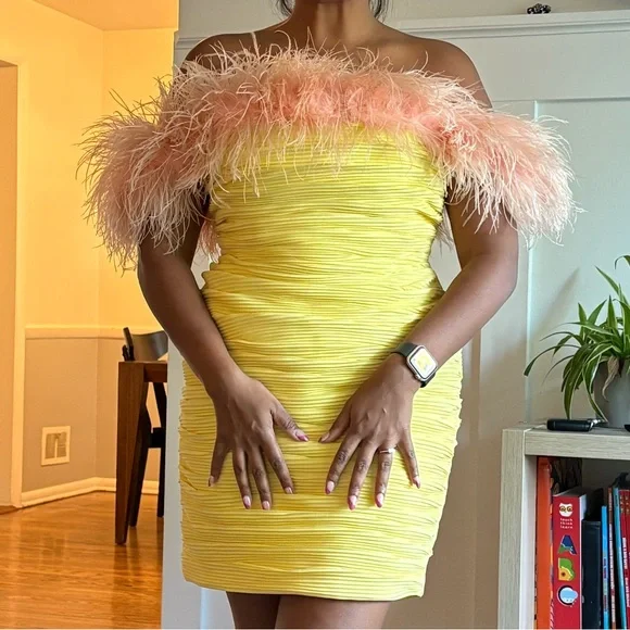 NWOT Rachel Gilbert Pink and Yellow Feathered Mini Dress - Picture 3 of 3